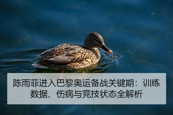 陈雨菲进入巴黎奥运备战关键期：训练数据、伤病与竞技状态全解析